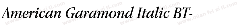 American Garamond Italic BT字体转换